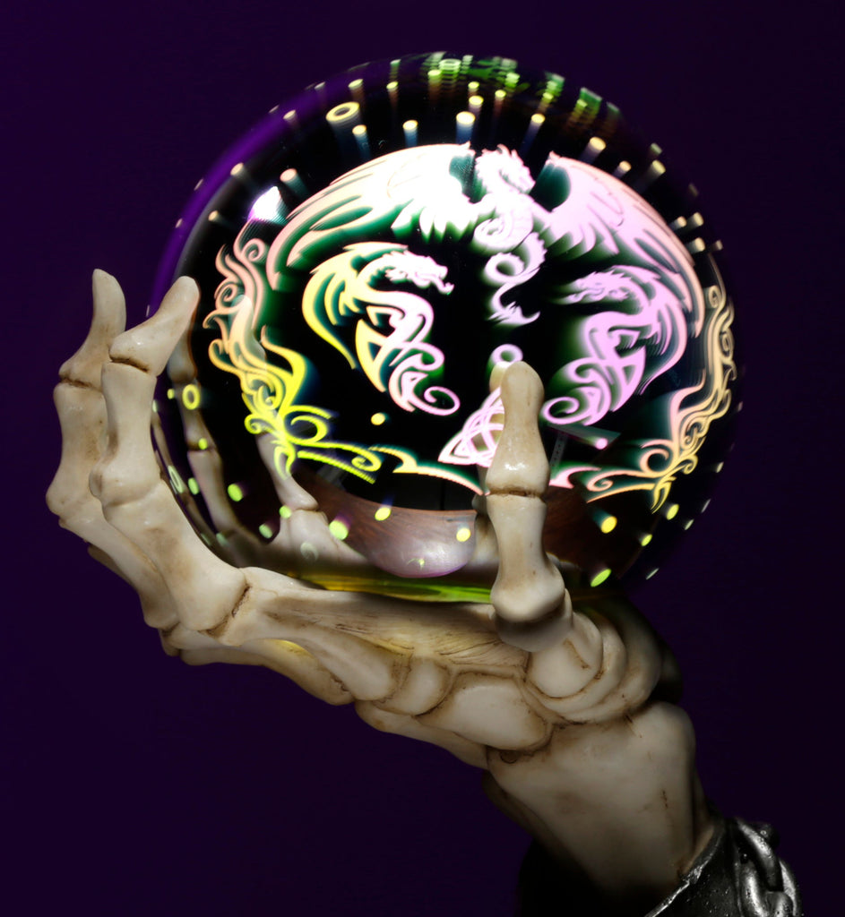 Skulls & Skeletons