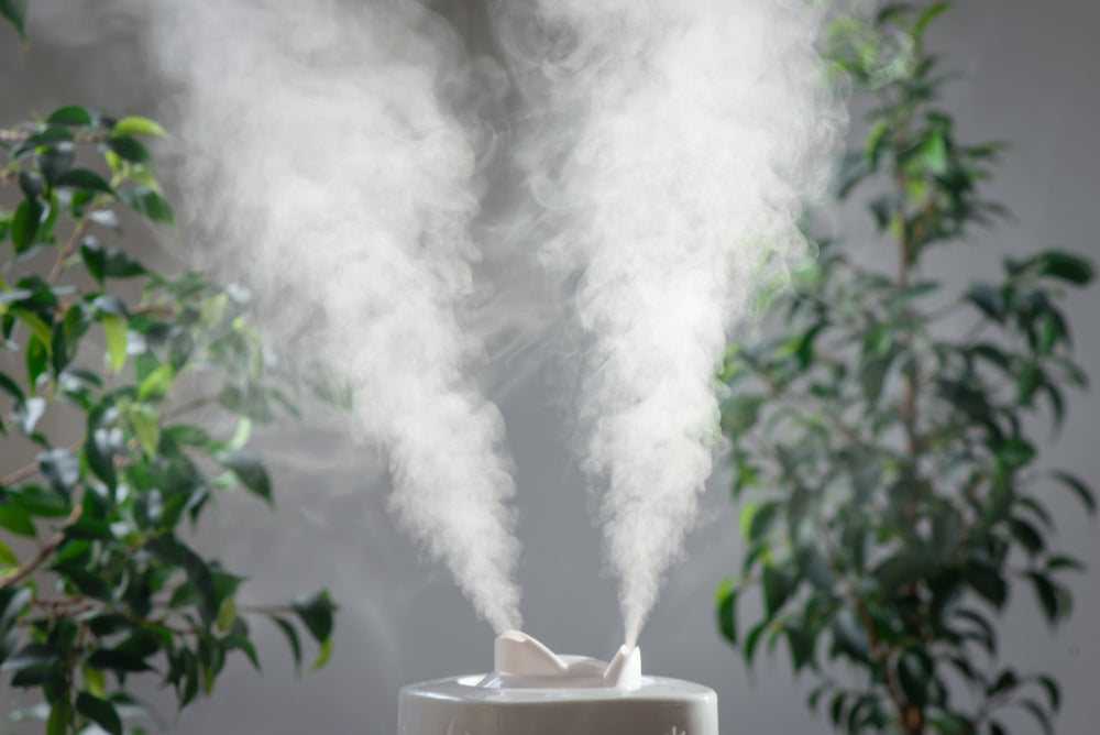 Gentle mist rising from aroma diffuser against background of plants