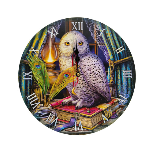 Front view of a circular wall clock, featuring a split design owl perched on antique books. The clock face displays a white owl and a darker spotted owl, surrounded by peacock feathers in an inkwell, a glowing lantern, and ornate blue curtains, with white Roman numerals.