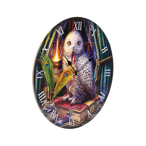 Angled view of a circular wall clock, depicting a white owl with piercing yellow eyes perched on spell books, alongside an antique oil lamp and green peacock feathers, featuring white Roman numerals.