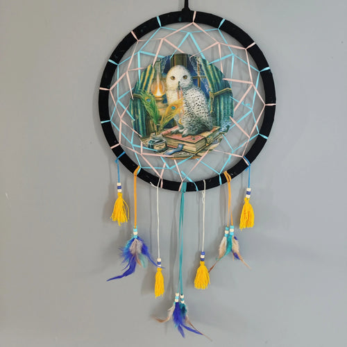 Front view of a dreamcatcher, featuring a central illustration of a white owl perched on books with an inkwell and quill. It has a black hoop, light blue and pale pink woven webbing, yellow tassels, blue and white beads, and blue, brown, and turquoise feathers.