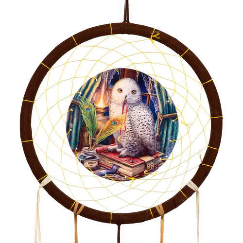 Front view of a dark brown dreamcatcher with a yellow web, showcasing a central circular illustration of a white snowy owl perched on antique books beside an inkwell, a peacock feather quill, and a lit oil lamp. Cream ribbons hang below the hoop.