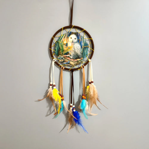 Front view of a brown dreamcatcher with a central design depicting a white owl on books, featuring yellow web detailing, hanging suede-like strips, cream ribbons, wooden beads, and colourful feathers in yellow, blue, and brown hues.