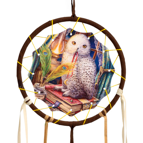 Front view of a small dreamcatcher featuring an illustration of a white owl holding a red quill while sitting on books with a lamp and peacock feathers, set within a brown wrapped hoop with yellow woven threads and cream hanging ribbons.