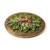 Round Greenman ashcatcher incense burner featuring bronze, green, and turquoise Celtic knotwork, angled view.