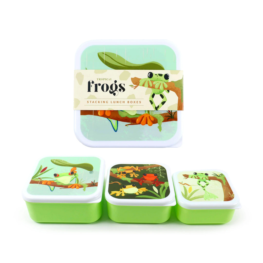 Angled view of a set of three light green and white lunch boxes with colourful tropical frog designs. One set is displayed stacked, bound by a decorative band, while the three individual lunch boxes below reveal unique illustrations of frogs in jungle scenes on their lids.