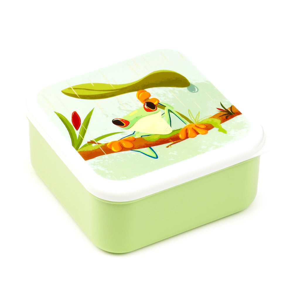 Angled view of a light green lunch box with a white lid, featuring a colourful illustration of a tropical tree frog on a branch with leaves and raindrops.