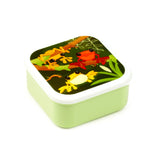 Angled view from above of a square light green lunch box with a white rimmed lid, featuring a colourful illustration of orange and yellow tropical tree frogs on dark green foliage and brown branches.