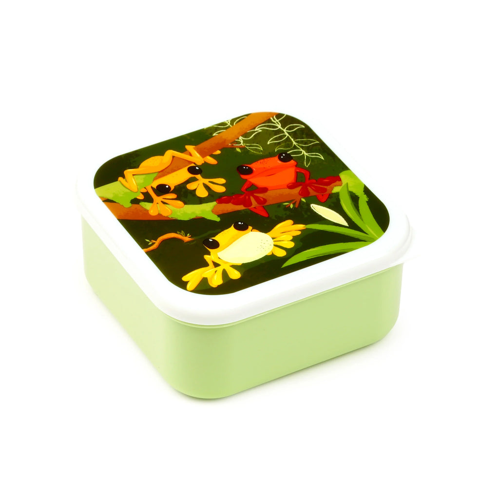 Angled view from above of a square light green lunch box with a white rimmed lid, featuring a colourful illustration of orange and yellow tropical tree frogs on dark green foliage and brown branches.