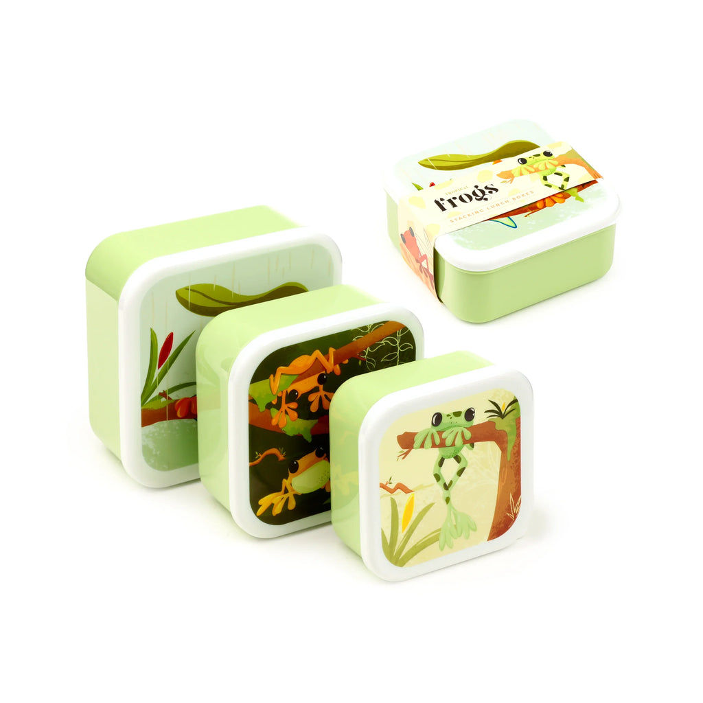 Angled view of three light green lunch boxes with white lids, a set of different sizes, each decorated with a tropical tree frog illustration. The largest box is visible with its paper packaging.