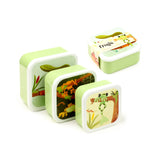 Angled view of a set of three light green and white lunch boxes of varying sizes. Each lid is adorned with a colourful tropical tree frog illustration. The largest box is wrapped with a paper band.