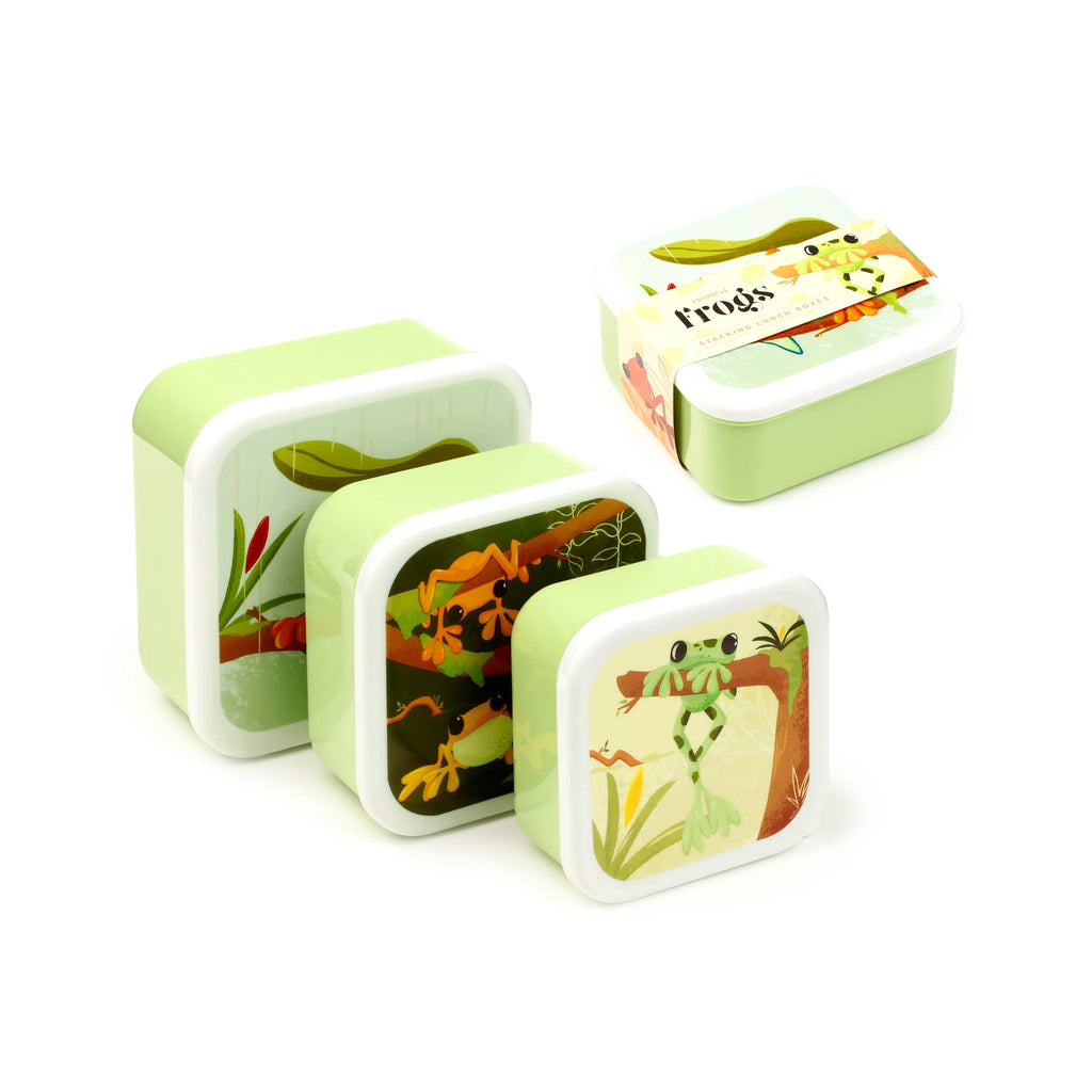 Angled view of a set of three light green and white lunch boxes of varying sizes. Each lid is adorned with a colourful tropical tree frog illustration. The largest box is wrapped with a paper band.
