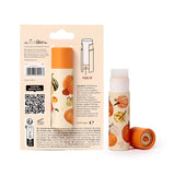 Autumn Harvest Pumpkin Spice paper stick lip balm. Back view of its recyclable card packaging with product details, and an unboxed lip balm standing upright with its orange cap, both featuring an illustrated pumpkin and gourd design.