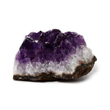 Front view of a natural purple amethyst crystal geode cluster with clear quartz base and dark rock matrix.