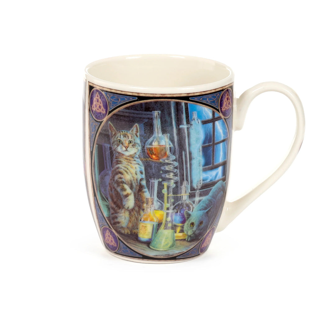 Angled view of a porcelain mug, featuring a multicoloured illustration of two cats in a laboratory. A surprised tabby cat stands on its hind legs among beakers and flasks with colourful liquids, while a grey cat crouches nearby, set against a stormy window background. The mug has a cream handle and decorative borders.