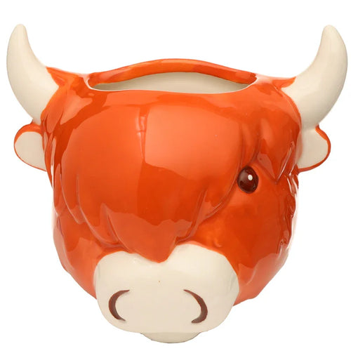 Front view of a decorative ceramic orange Highland Coo cow head indoor wall planter, with cream horns and snout.