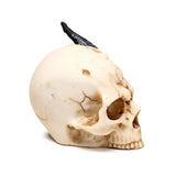 Profile view of an aged, bone-coloured skull figurine with a black dragon feature emerging from the top.
