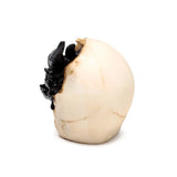 Angled view of a small black dragon ornament emerging from a cream-coloured skull figurine, detailed with textured scales and cracked bone features.