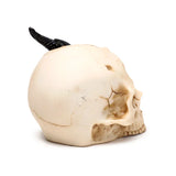 Angled left side view of an off-white, bone-coloured skull figurine with aged brown cracks, featuring a black, ridged horn emerging from the top.