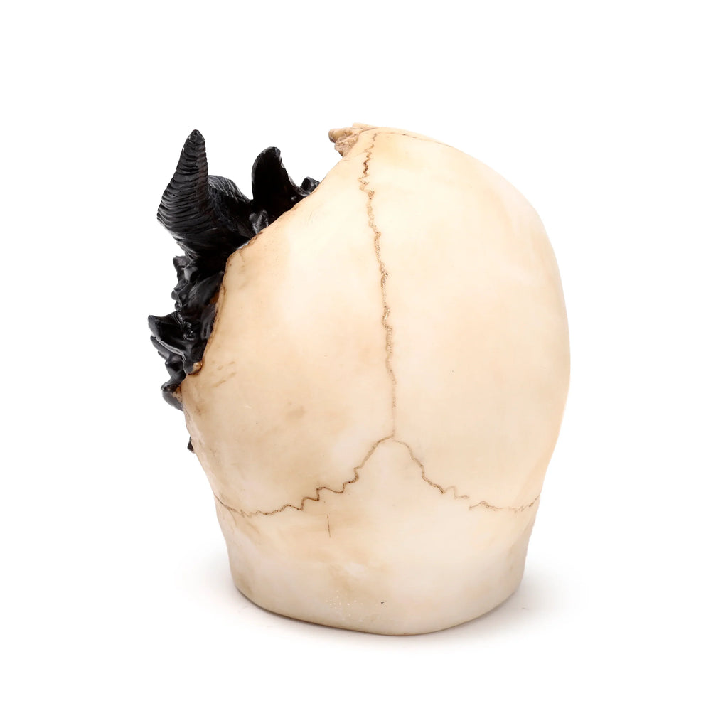 Angled rear view of a large ornamental bone-coloured skull figurine, featuring visible sutures and a textured black dragon emerging from its side.