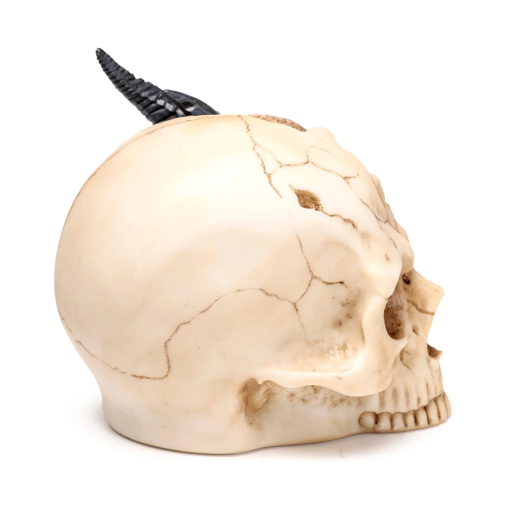 Angled right side view of a bone-coloured skull ornament, detailed with brown crack patterns and featuring a textured black dragon horn emerging from the top.