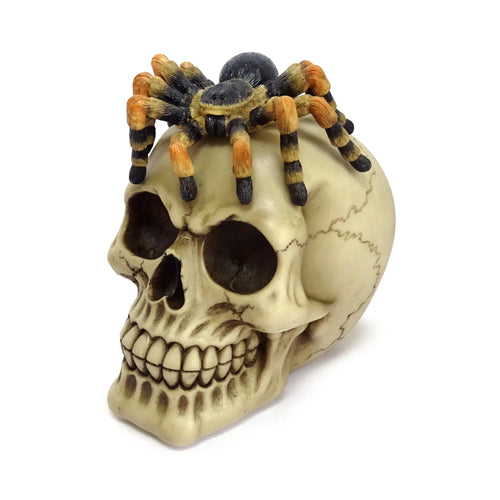 Angled view of a decorative cream skull ornament with a black and orange spider perched on its crown, highlighting its hollow eye sockets, nasal cavity, and detailed teeth.