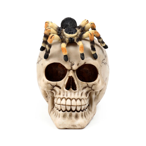 Front view of a decorative skull ornament in an aged bone colour, with a black and orange tarantula-like spider resting on its head.