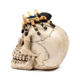 Profile view of a decorative bone-coloured skull ornament with a large beige and black striped spider perched on its crown, its jaw and teeth clearly visible.