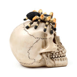 Decorative ornament: side profile of a cream-coloured skull, showing its detailed sutures and teeth, with a black spider featuring orange and cream striped legs resting on its top.