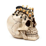 Angled view of a realistic bone-coloured skull ornament, detailed with visible sutures and teeth, featuring a large black and orange spider resting on its top, against a white background.