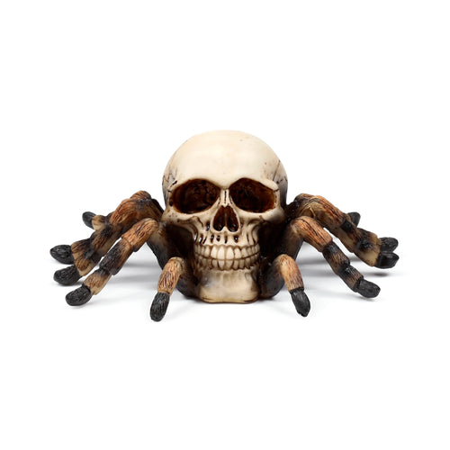 Front view of a decorative figurine, a light-coloured skull ornament with dark eye sockets and eight textured brown and black spider legs, on a white background.