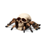 Angled view of a decorative ornament figurine, depicting a bone-coloured skull with prominent dark eye sockets and eight brown and black textured spider legs.