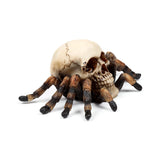 Decorative ornament, angled view of a bone-coloured skull with visible sutures, perched atop dark brown and black furry spider legs.
