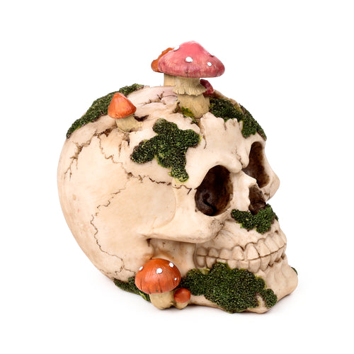Decorative Ornament - Skull with Toadstools & Moss