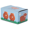 Angled view of a light blue product packaging box, illustrated with two cartoon Highland Coos on the left and one on the right, with green grass along the bottom. The top of the box features 'Highland Coo Salt and Pepper Shakers' text.