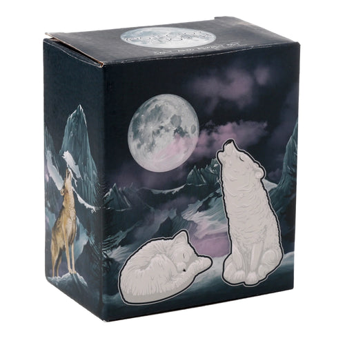 Angled view of a dark novelty salt and pepper set box, depicting a full moon, snowy mountains, a brown wolf howling, and two stylised white wolf figures.