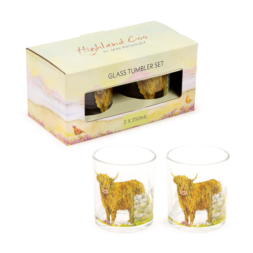 Angled view of two clear glass tumblers, 250ml capacity, each displaying a shaggy-haired Highland coo illustration beside a stone wall, placed in front of their patterned cardboard gift box.