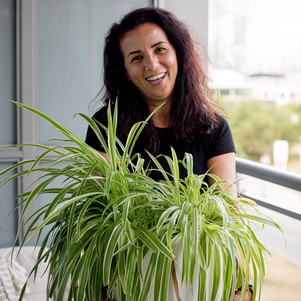 Woman holding a potted plant on a balcony