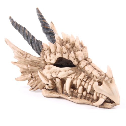 Angled view of a bone-coloured dragon skull money box with dark horns, spiky ridges, and sharp teeth, set against a white background.