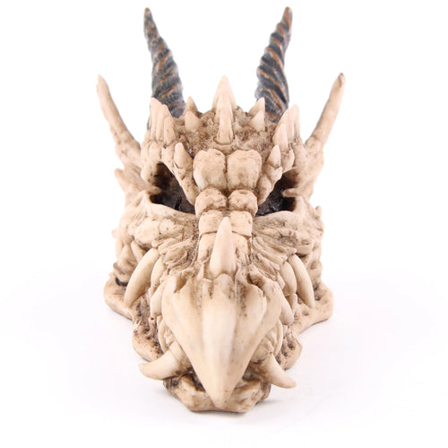 Front view of a beige dragon skull money box, featuring textured bone-like detailing, prominent spiky protrusions, and spiralled dark horns.