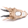 Underside view of a beige dragon skull money box with dark, textured horns, showing the coin access hole with a white stopper, on a white background.
