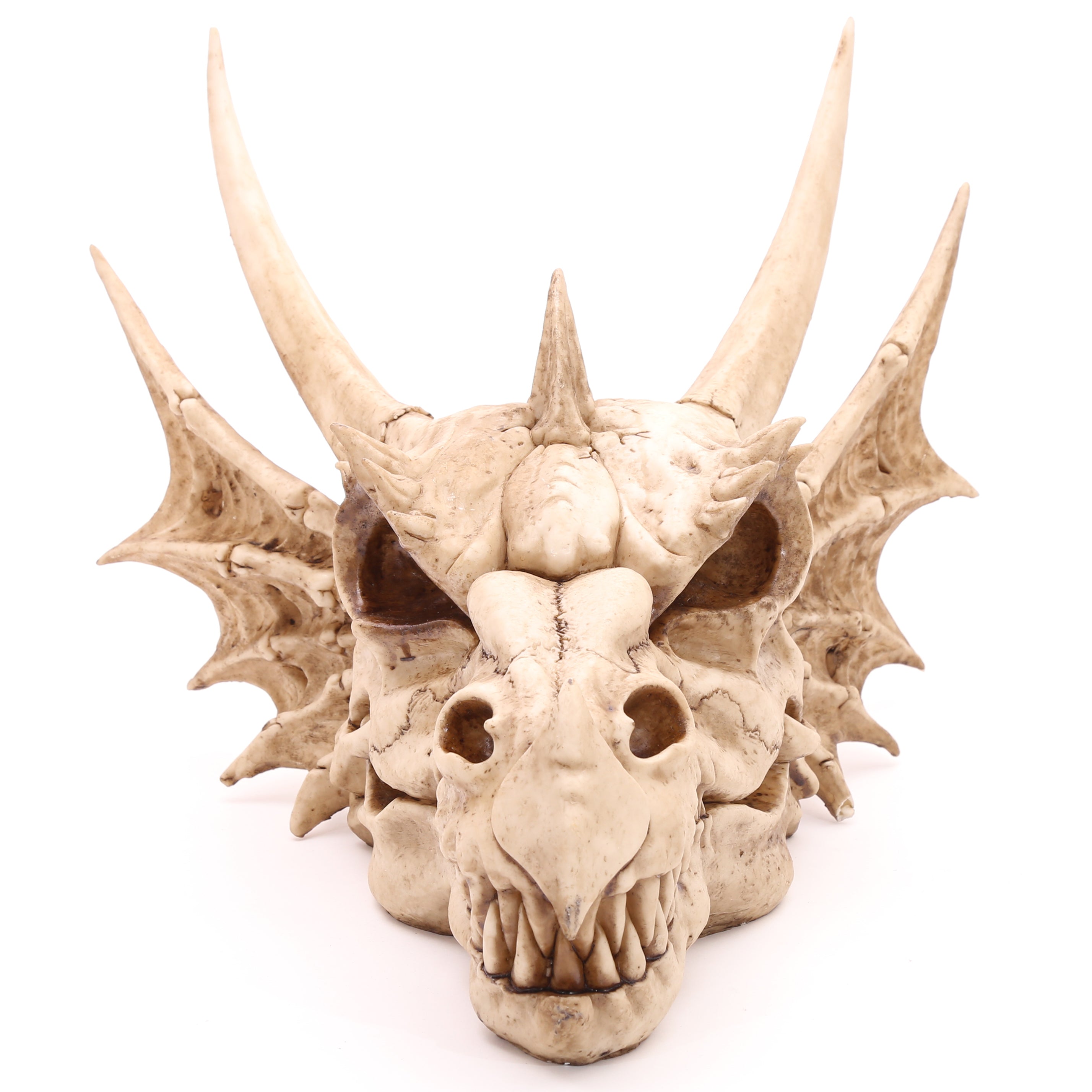 Dragon Skull Decoration (Large) - Fantasy Horned Dragon for Home