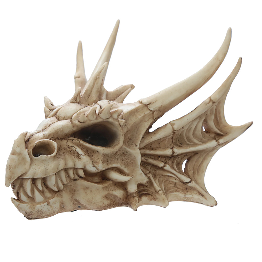 Angled view of an aged bone-colour dragon skull decoration, showcasing its intricate horns, sharp teeth, and detailed facial structure.