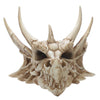 Front view of a bone-coloured dragon skull decoration featuring sharp teeth and multiple horns.