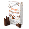 Angled view of a white box labelled 'Backflow Cinnamon Incense Cones' with cinnamon stick illustrations, alongside three dark brown conical incense cones standing upright and one lying down, showing its hollow base, all on a white background.