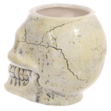 Side profile of a ceramic skull head mug with an ancient, cracked appearance.