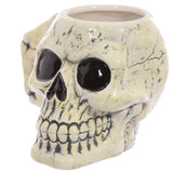 Angled view of an ancient-looking ceramic skull mug, featuring off-white colouring with dark crackle-effect detailing, black eye sockets, and visible teeth.