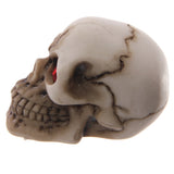 Side view of a gruesome skull decoration, light-coloured with dark, aged detailing, featuring prominent red gem eyes and visible teeth.