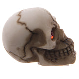 Right-side profile of a gruesome skull decoration with beige and brown veining and a prominent red gem eye.