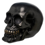 Angled view of a metallic black skull decoration, featuring gold-coloured teeth and a subtle metallic sheen.